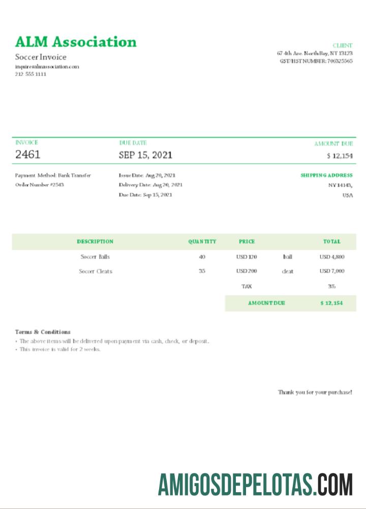 Fatura da Associação ALM dos EUA exemplo real